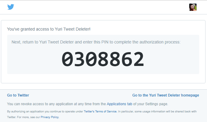 Twitter PIN screen